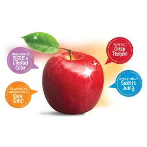 Certified Organic Cosmic Crisp Apples (908g Bag)