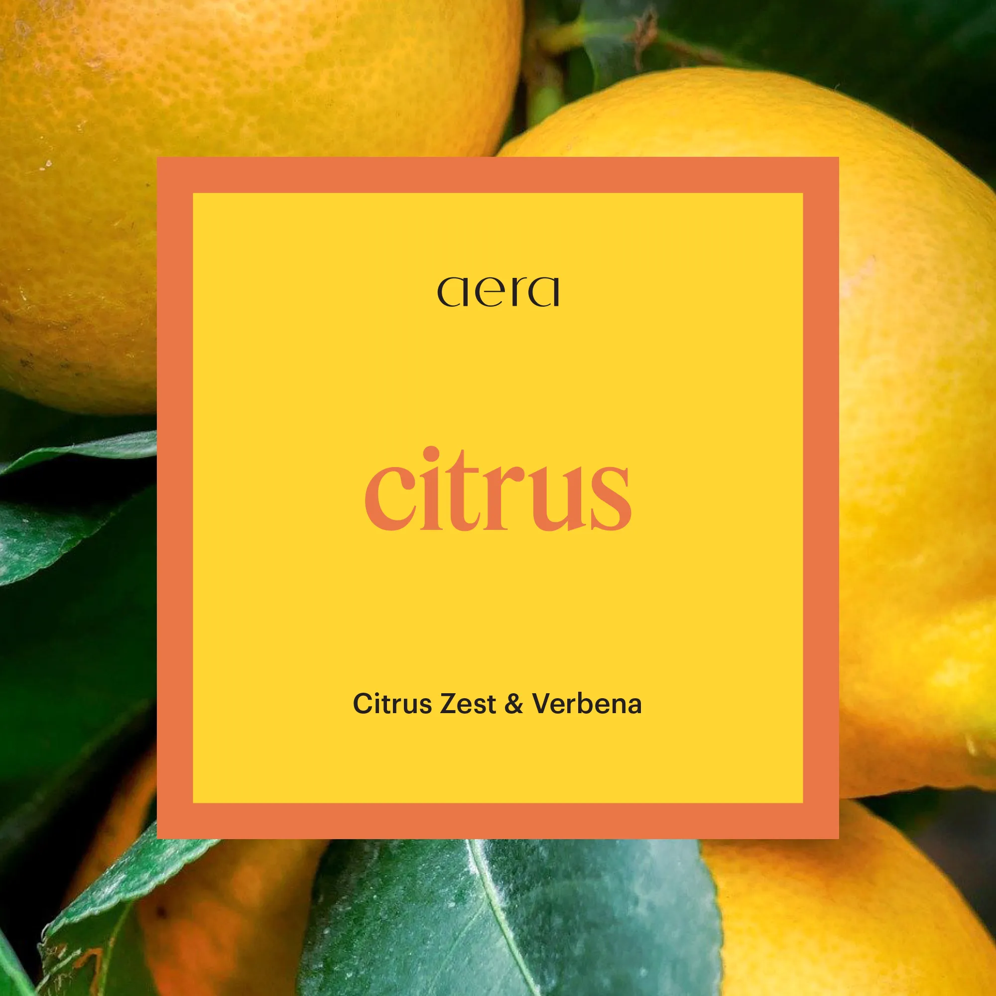 Citrus for Go