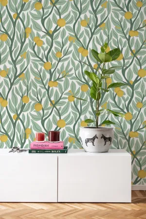 Citrus Tree Green