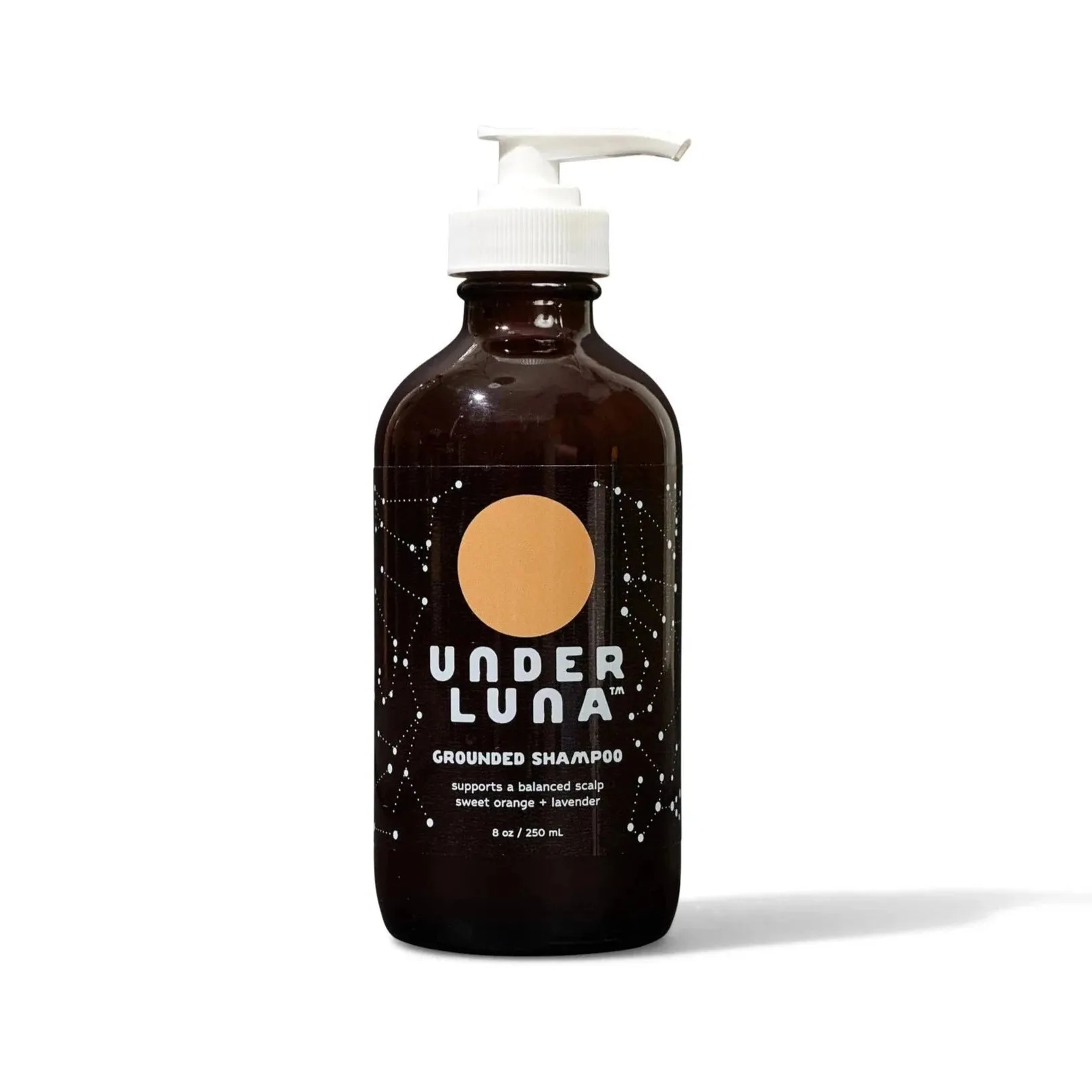 Grounded Shampoo