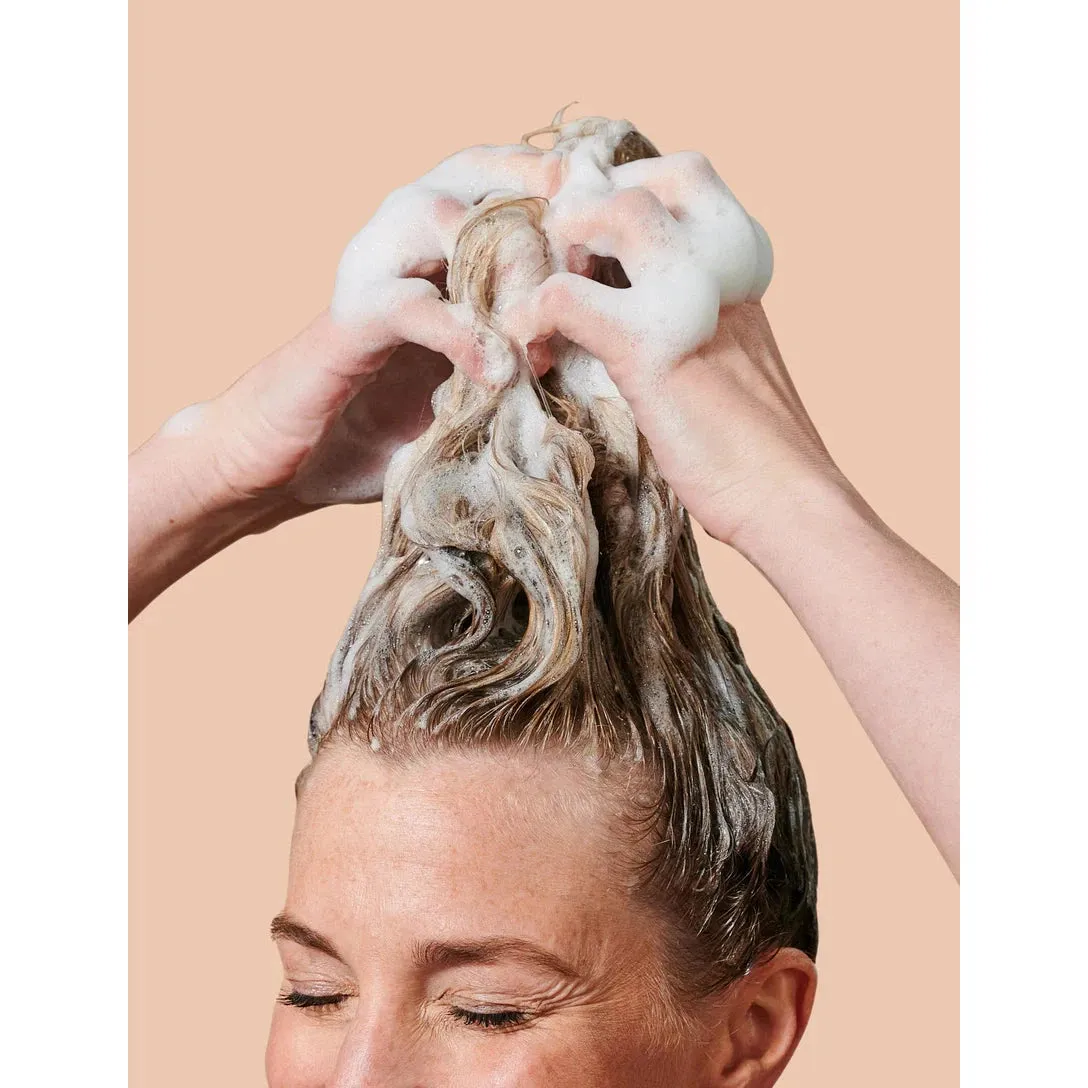 Grounded Shampoo
