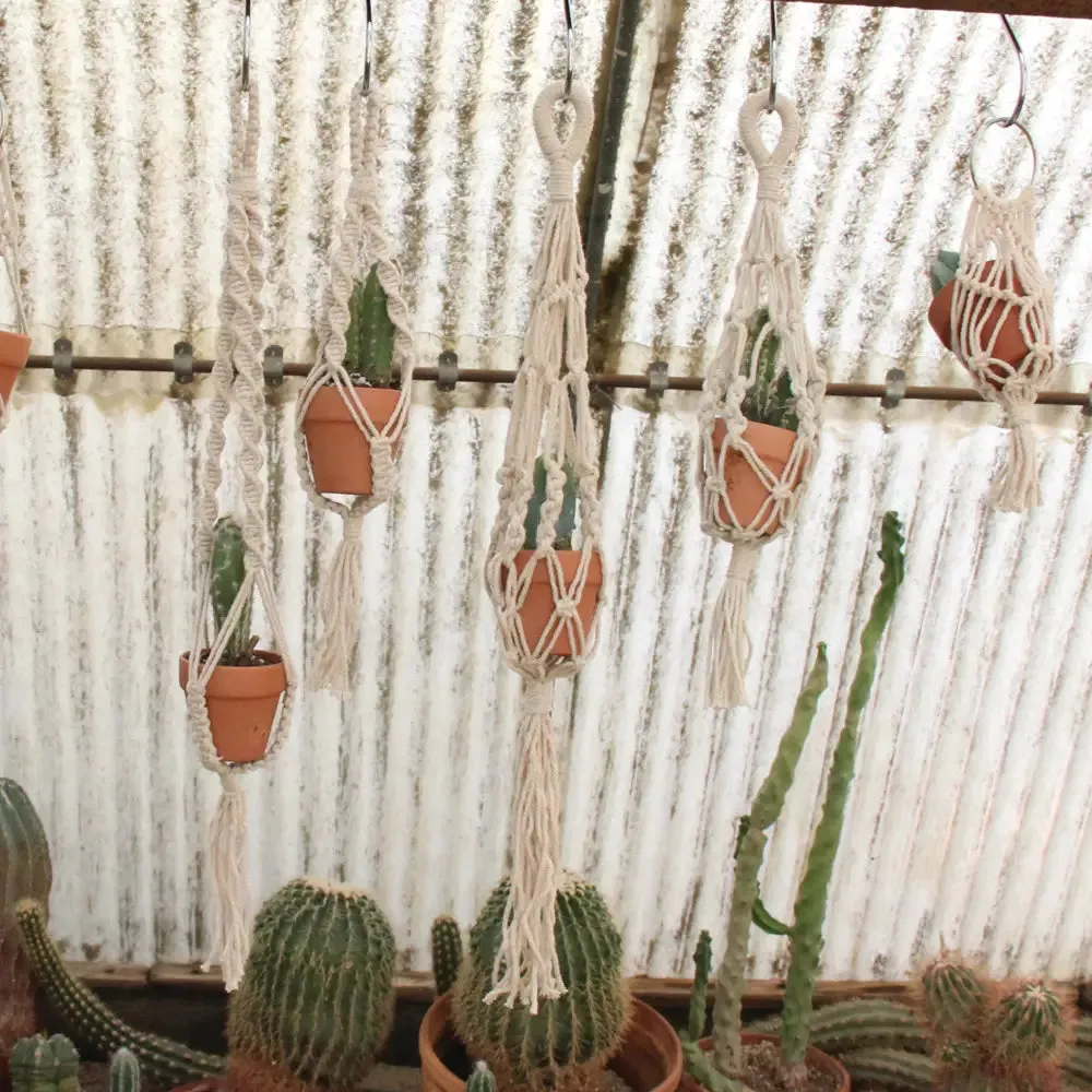Mini Plant Hanger
