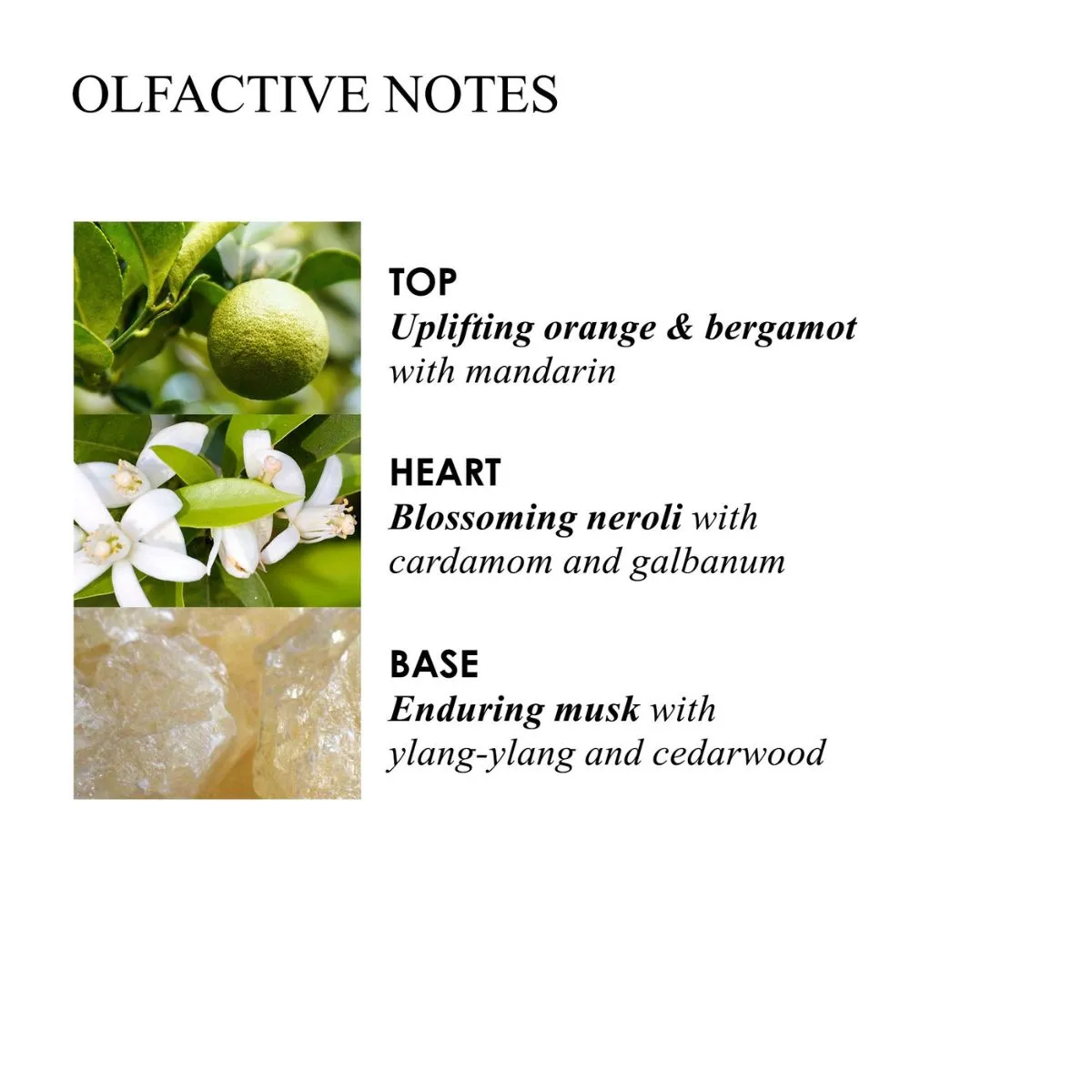 Molton Brown Orange & Bergamot Aroma Refills