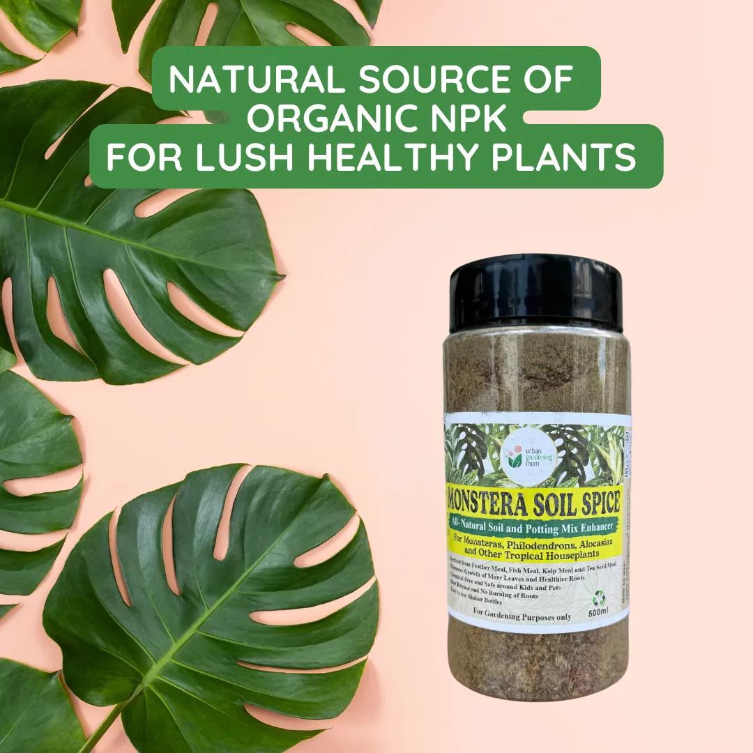 Monstera Soil Spice - All Natural Soil Additive and Plant Food for Monstera, Philodendron and other Tropical Houseplants