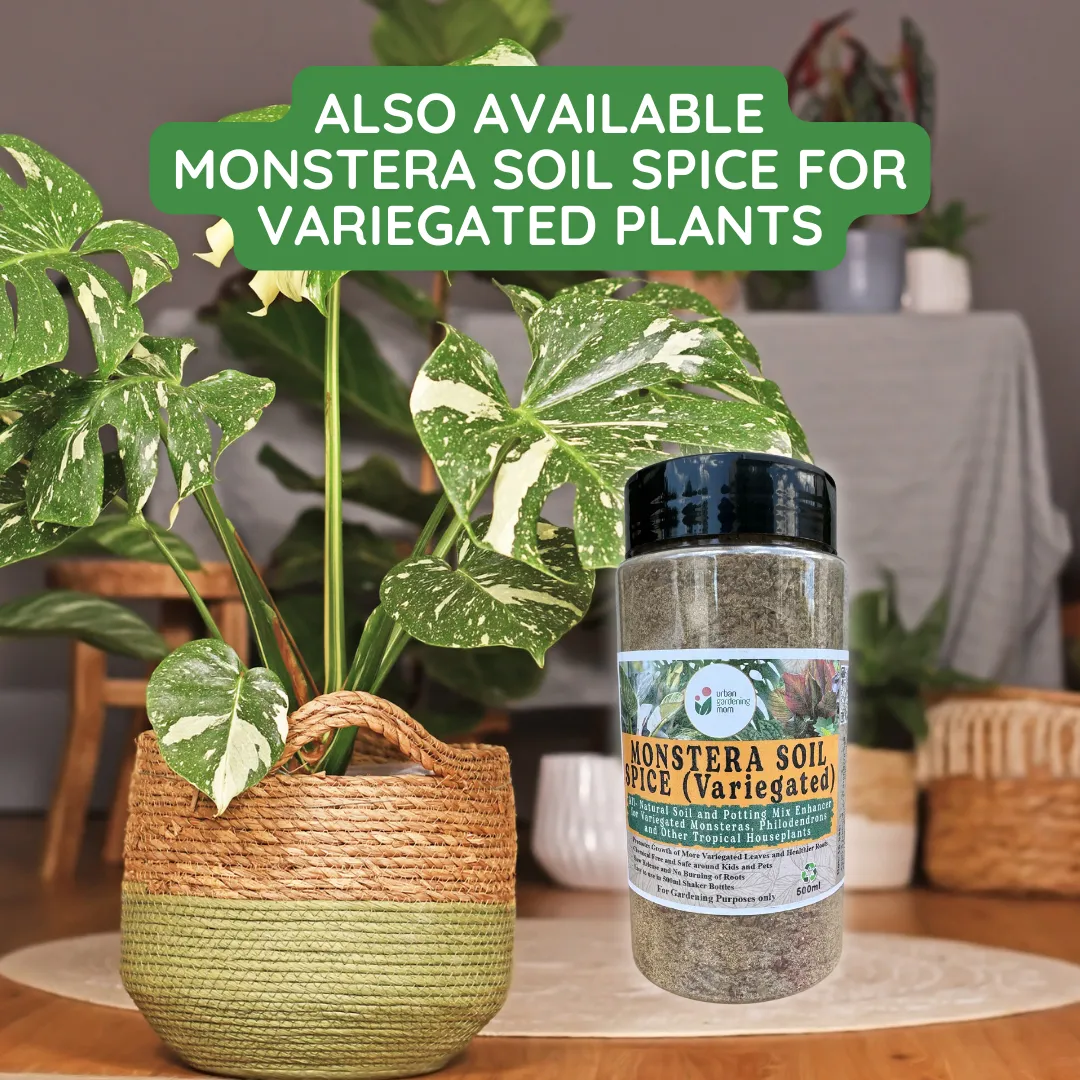 Monstera Soil Spice - All Natural Soil Additive and Plant Food for Monstera, Philodendron and other Tropical Houseplants
