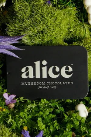 Nightcap Mushroom Chocolate