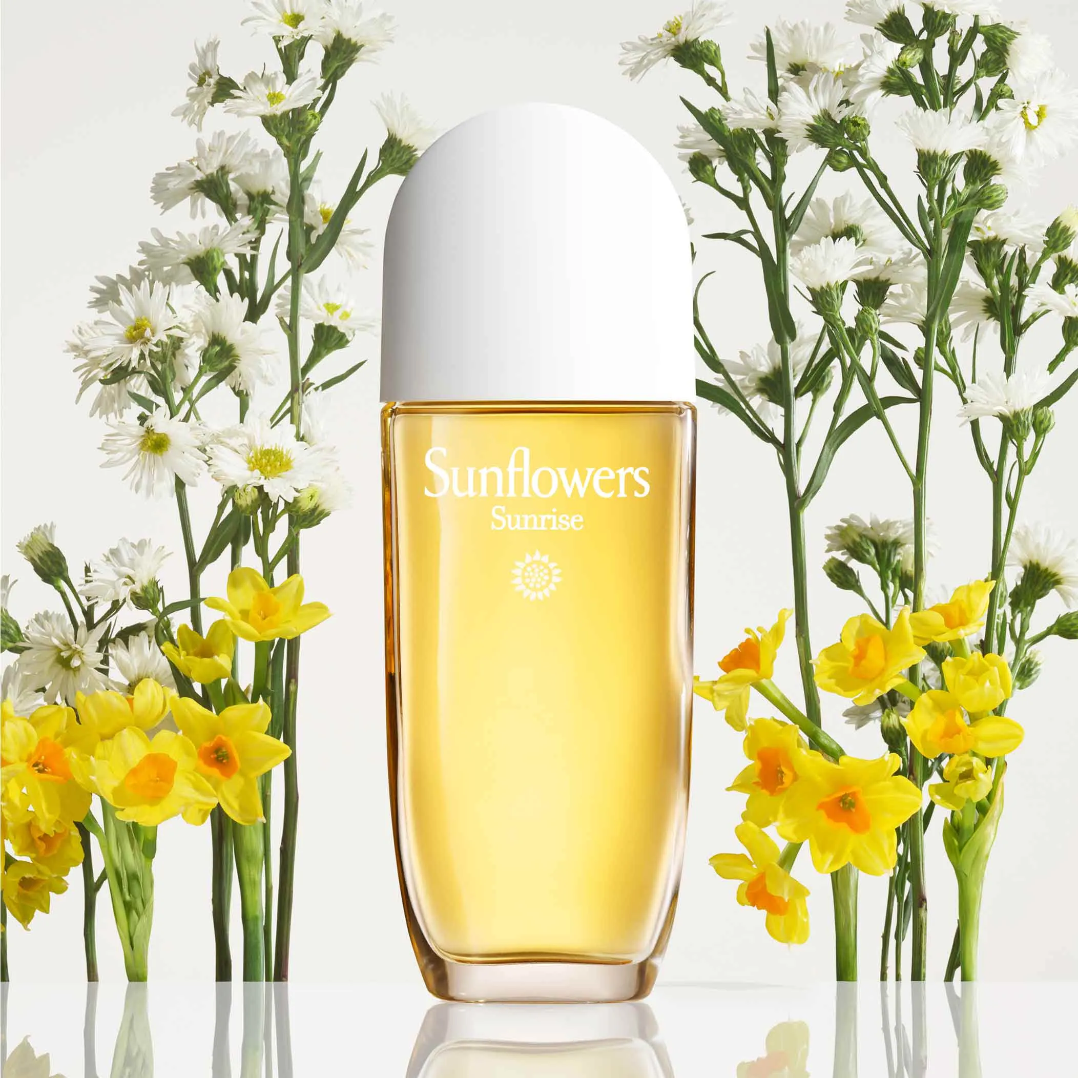 Sunflowers Sunrise Eau de Toilette Spray